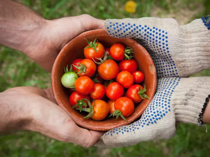 Bahçe Manzaralı Flora Connection Oda — görsel 3